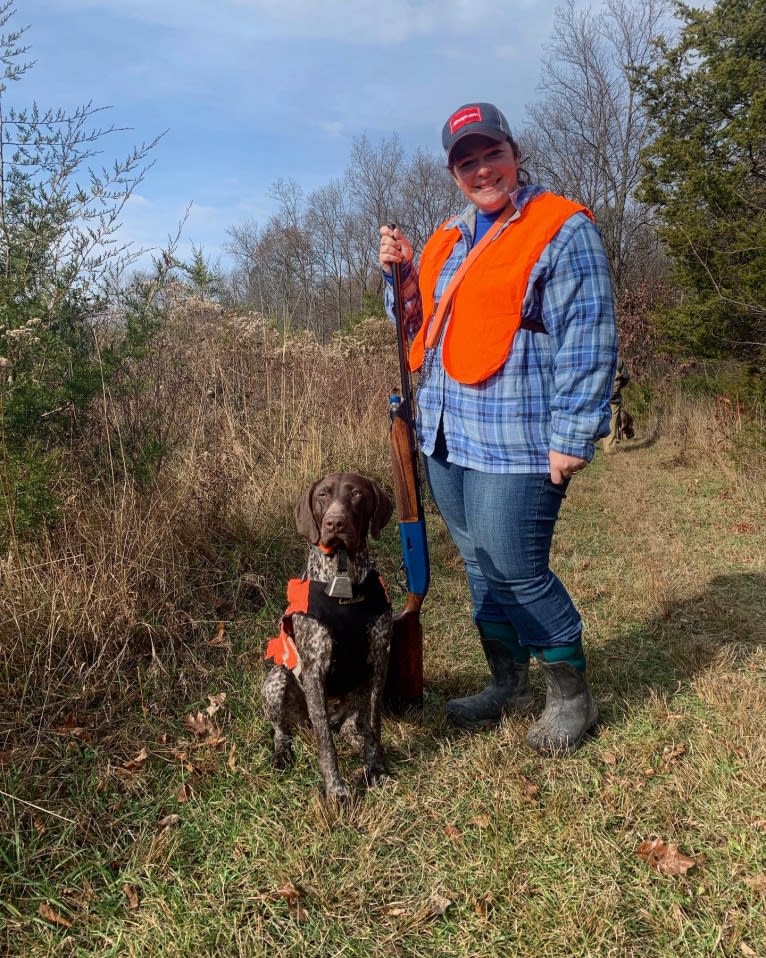 Effie Jayne, a German Shorthaired Pointer tested with EmbarkVet.com