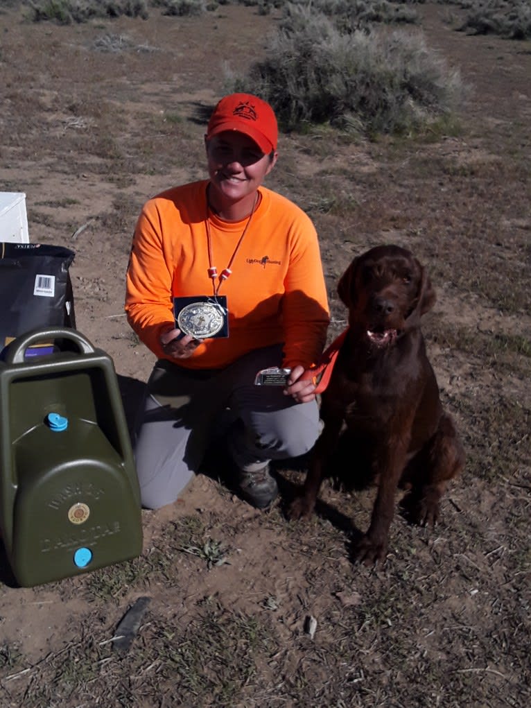 Rikko, a Pudelpointer tested with EmbarkVet.com