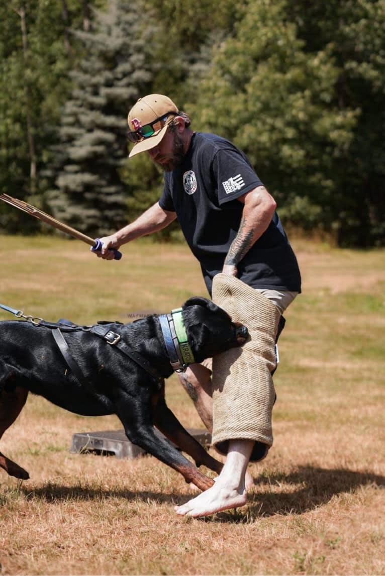 Kratos Raiju, a Rottweiler tested with EmbarkVet.com