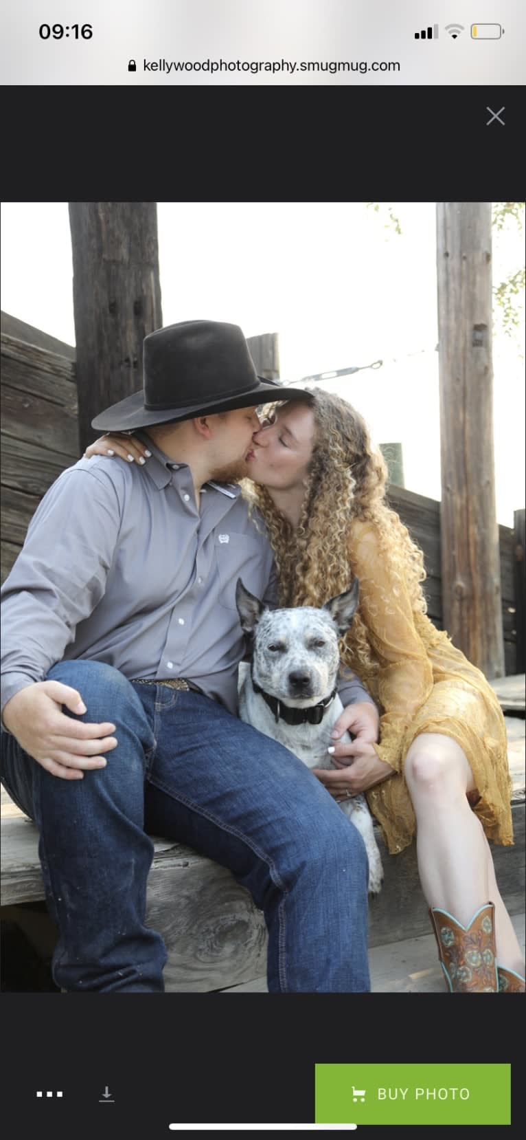 Buggie, an Australian Cattle Dog and American Pit Bull Terrier mix tested with EmbarkVet.com