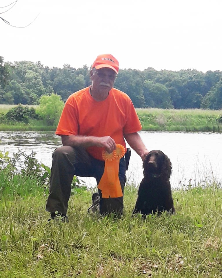 Little Brownies Dazzling Aurora, an American Water Spaniel tested with EmbarkVet.com