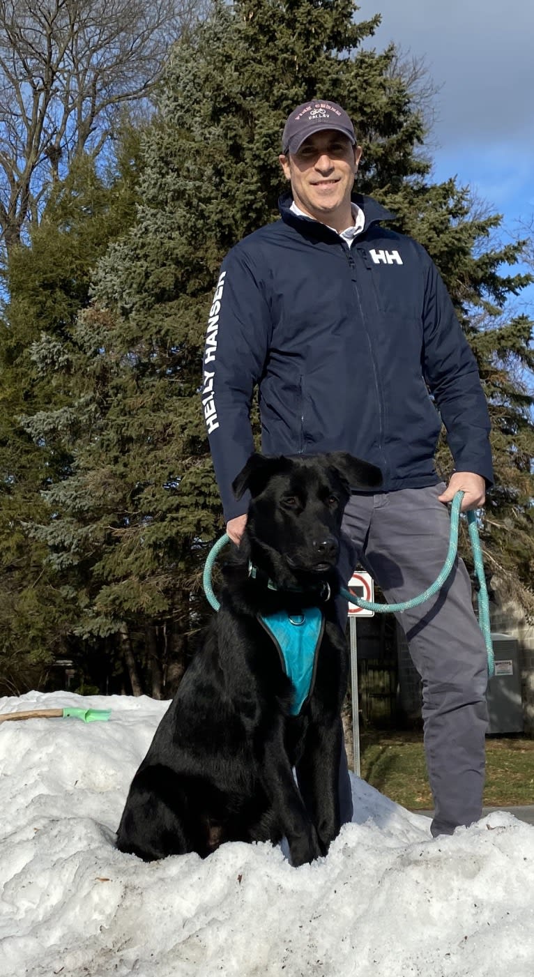 Otto (Othello), a German Shepherd Dog and Newfoundland mix tested with EmbarkVet.com