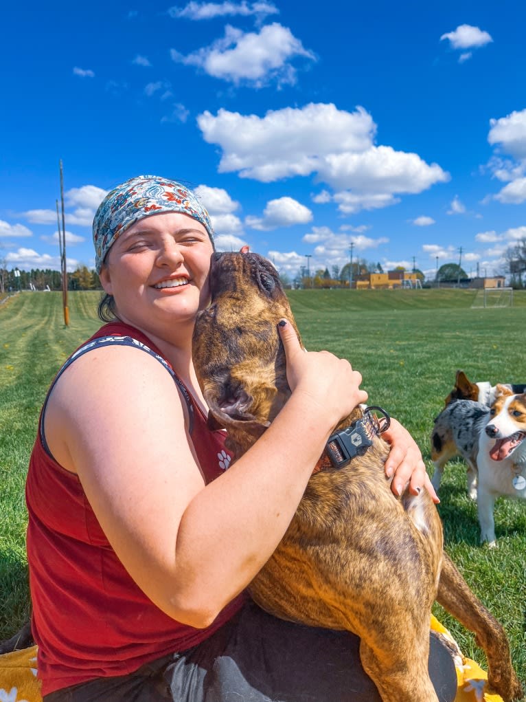 Tiger, an American Pit Bull Terrier tested with EmbarkVet.com