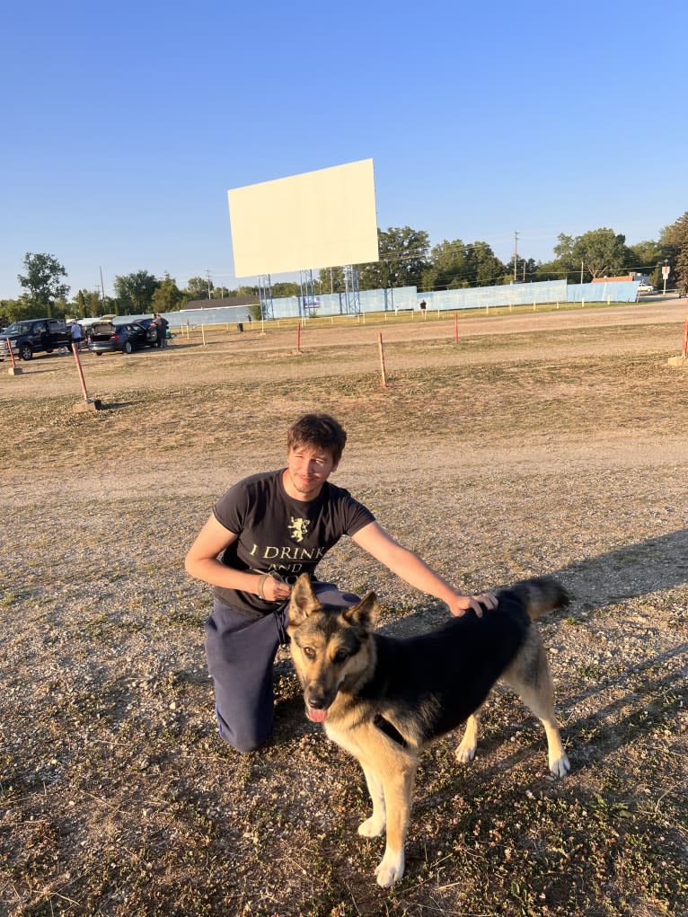 Hela, a Siberian Husky and German Shepherd Dog mix tested with EmbarkVet.com