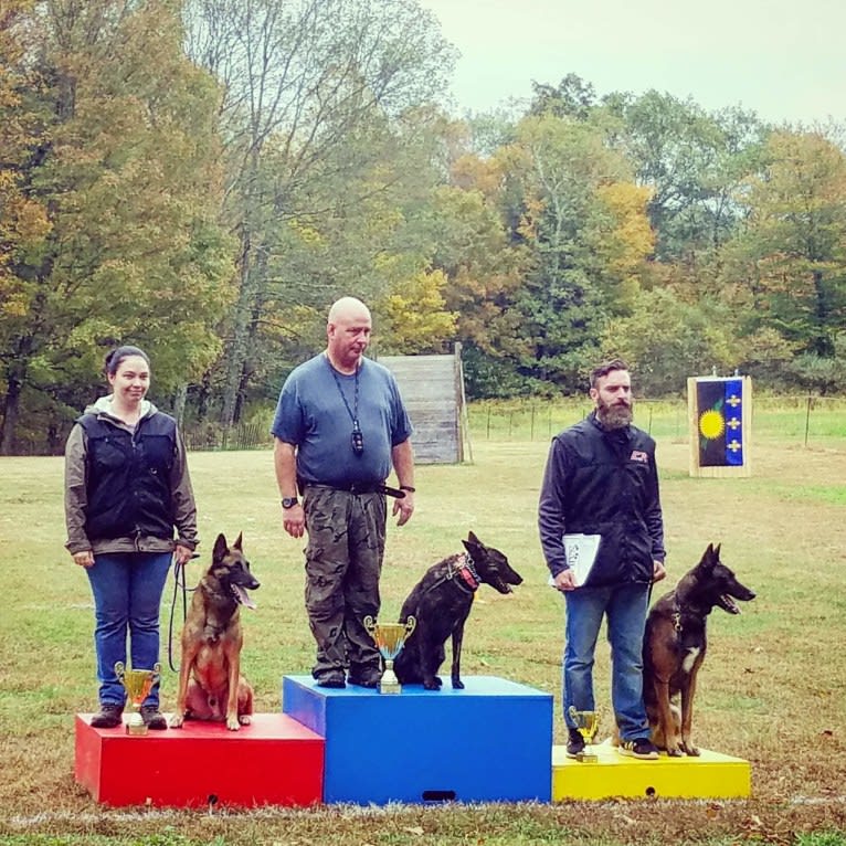 Oso, a Belgian Shepherd tested with EmbarkVet.com