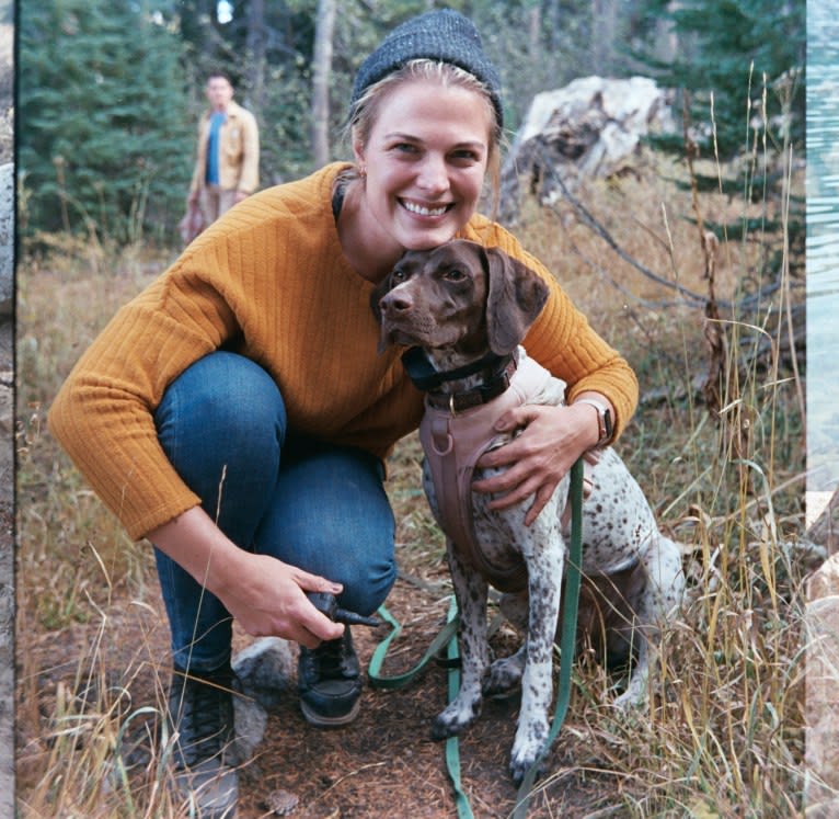 Juniper, a German Shorthaired Pointer tested with EmbarkVet.com