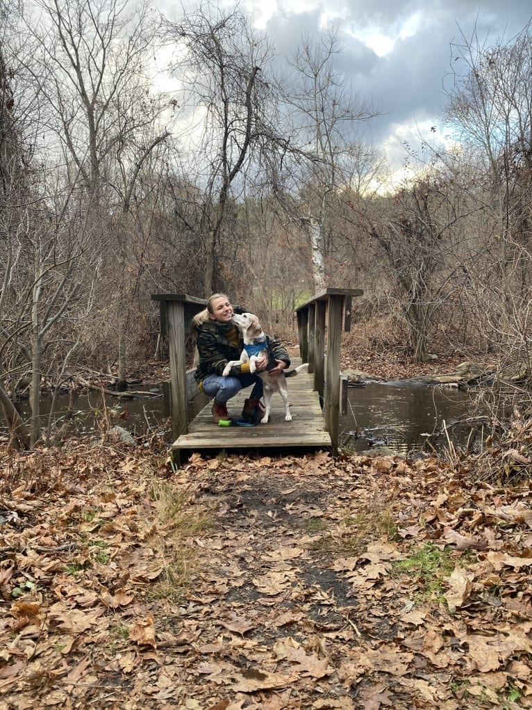 Clark, a Beagle tested with EmbarkVet.com