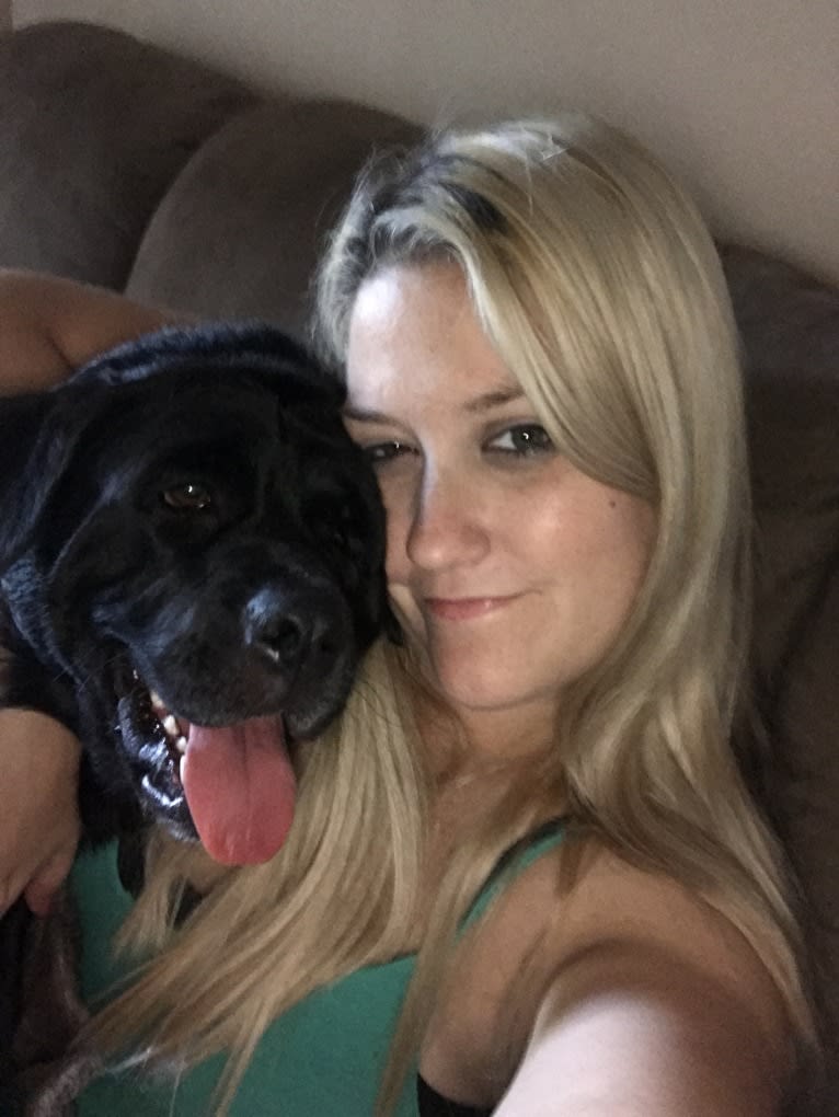 Benjen, a Bulldog and Neapolitan Mastiff mix tested with EmbarkVet.com