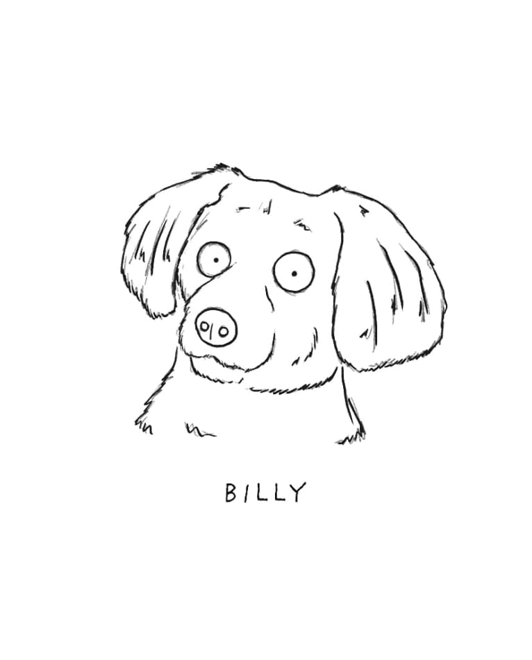 Vinny, a Morkie tested with EmbarkVet.com