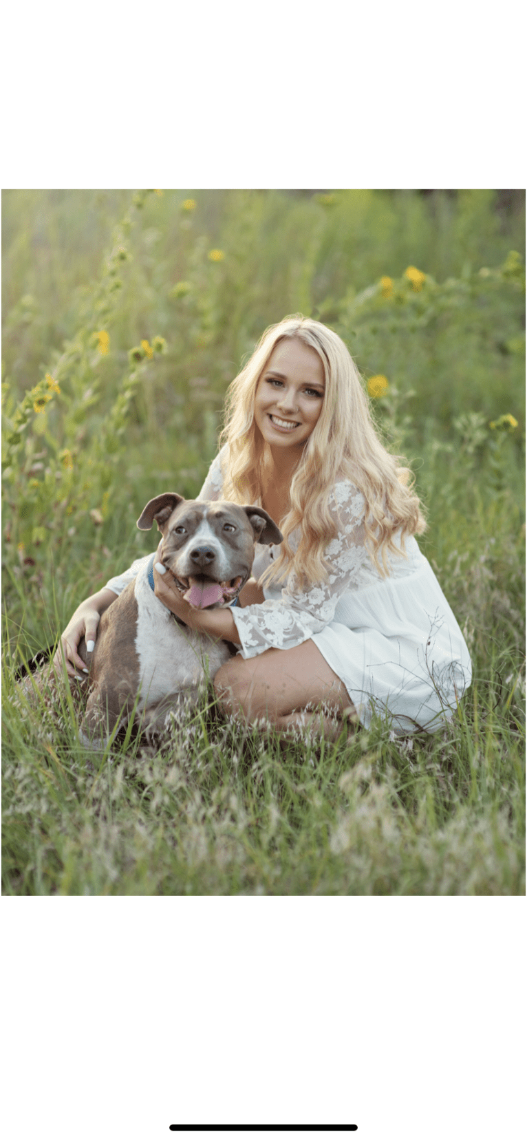 Rigby, an American Bully tested with EmbarkVet.com