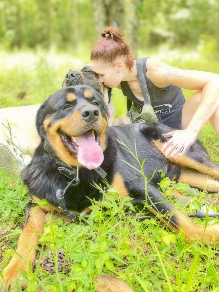 Akuma, a Tibetan Mastiff and Rottweiler mix tested with EmbarkVet.com