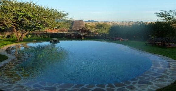 Wild & Tranquil Africa: Game Safaris in Kenya Uncovered