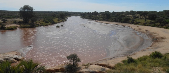 Wild & Tranquil Africa: Game Safaris in Kenya Uncovered