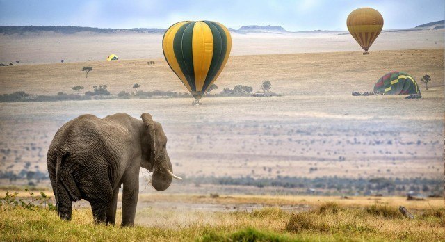 Ballonfahrt Masai Mara