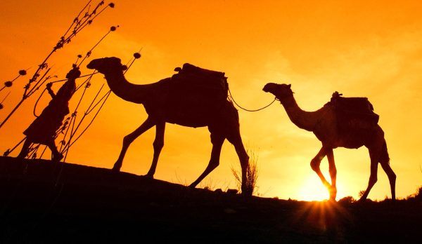 Camel race in Northern Kenya