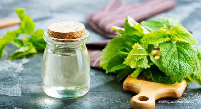 Peppermint helps alleviate headaches