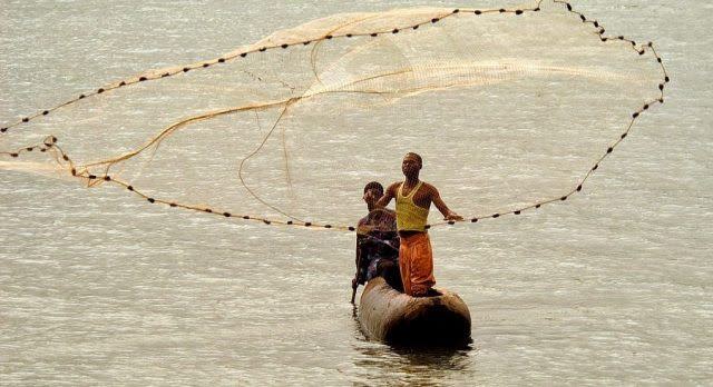 Fishermen In Malawi Catching fresh fish
