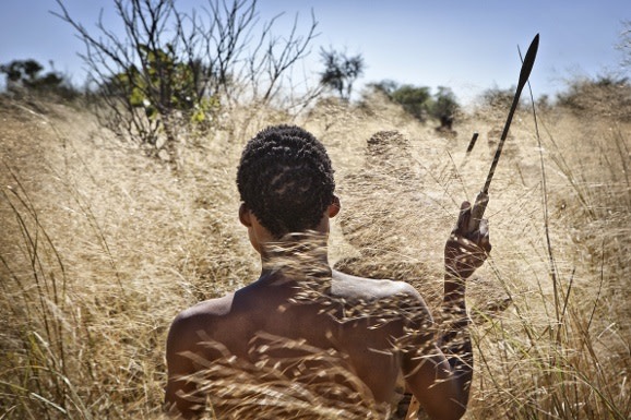 Botswana Safari