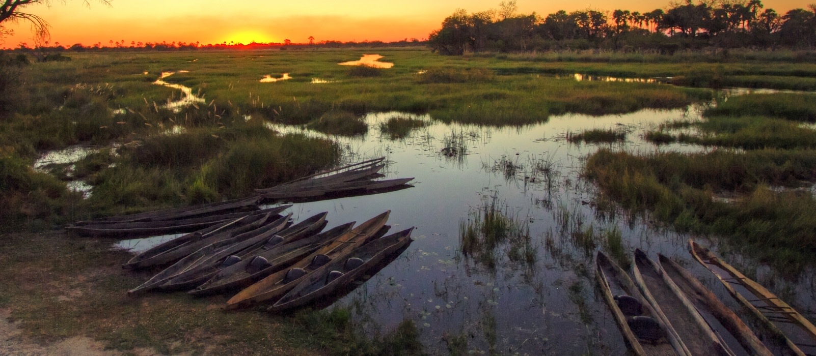 Mokoro Einbaum-Boote im Okavango-Delta