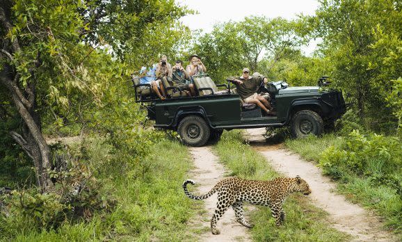 Okavango Delta Safari