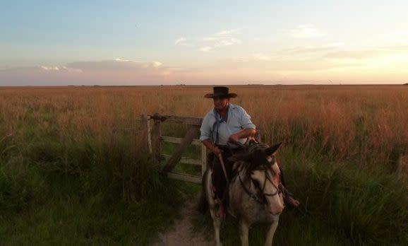 Ausflug mit dem Pferd in der Natur