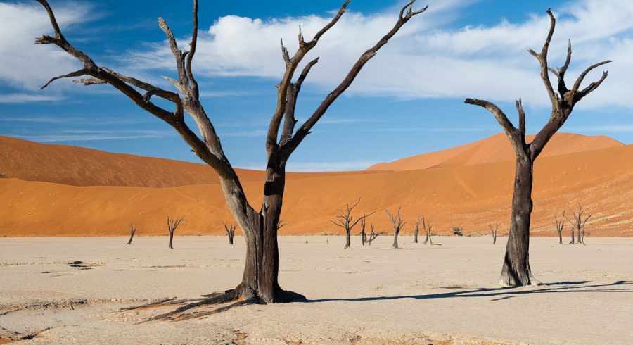 Enchanting Travels - Namibia Tours - Sossusvlei - Little Kulala - Desert