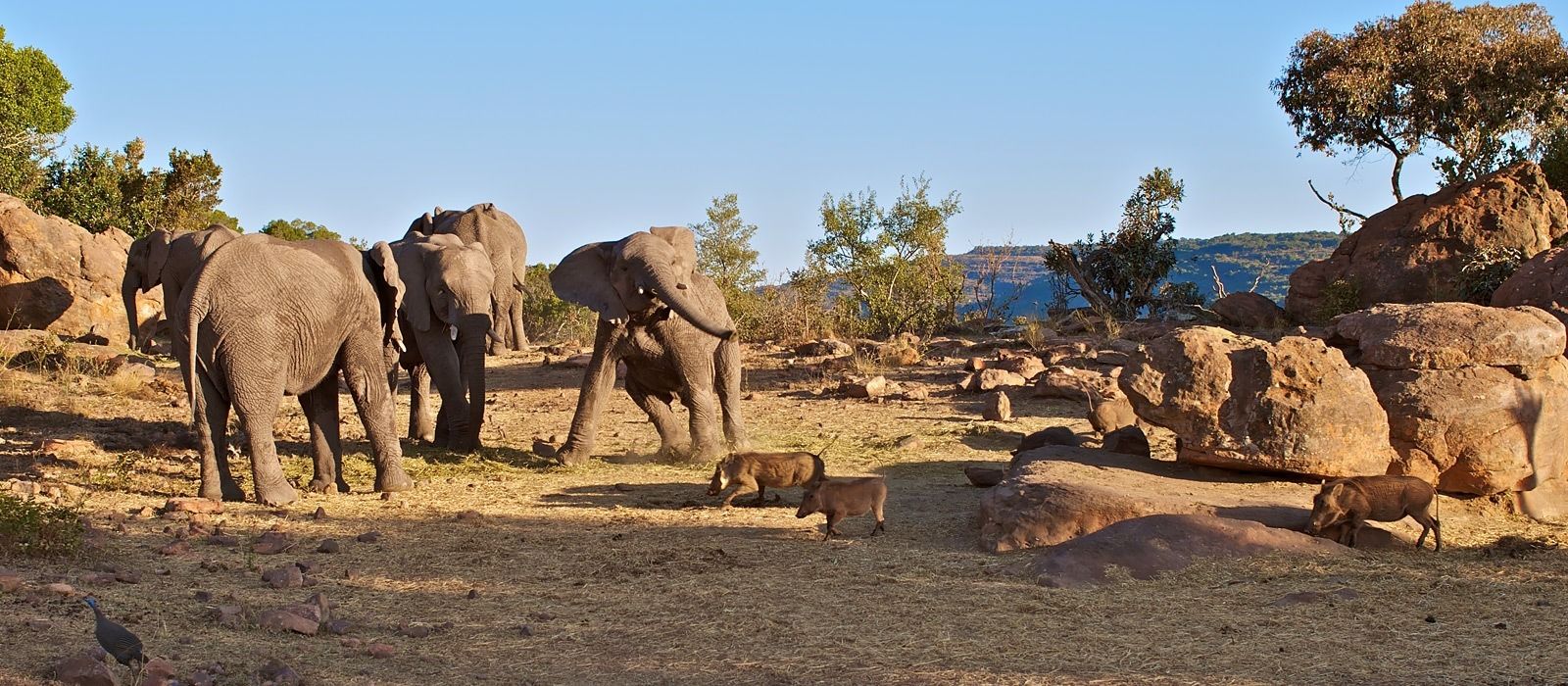 Exclusive Travel Tips for Waterberg Plateau in Namibia