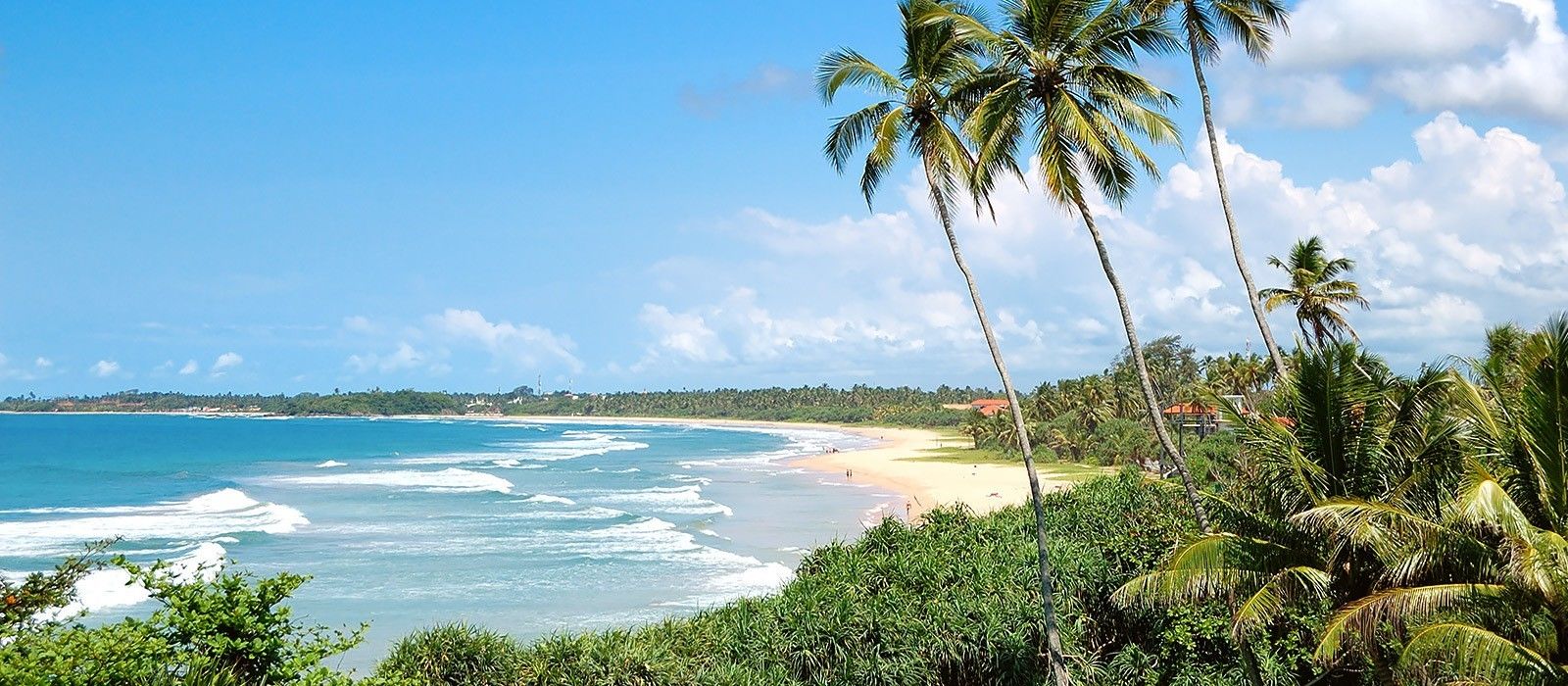 Bentota, Sri Lanka: how to get Description and reviews 98 Bentota, Sri Lanka: how to get Description and reviews 19