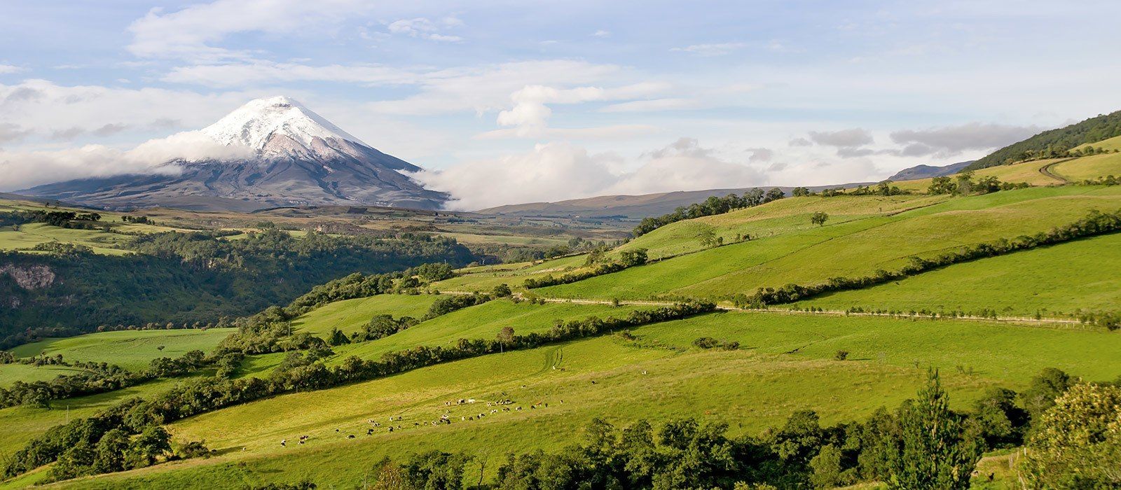 Exclusive Travel Tips for Cotopaxi in Ecuador & Galapagos