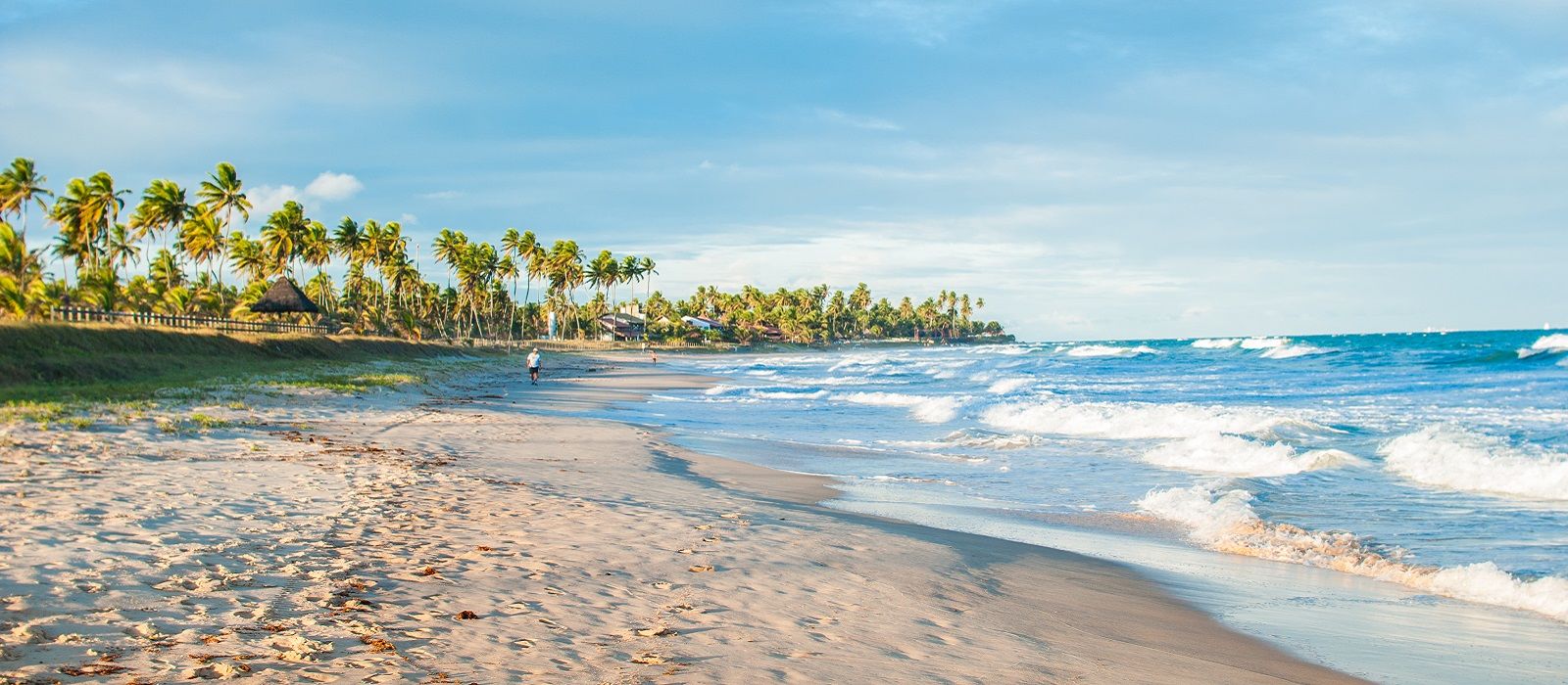 Exclusive Travel Tips for Your Destination Porto do ...