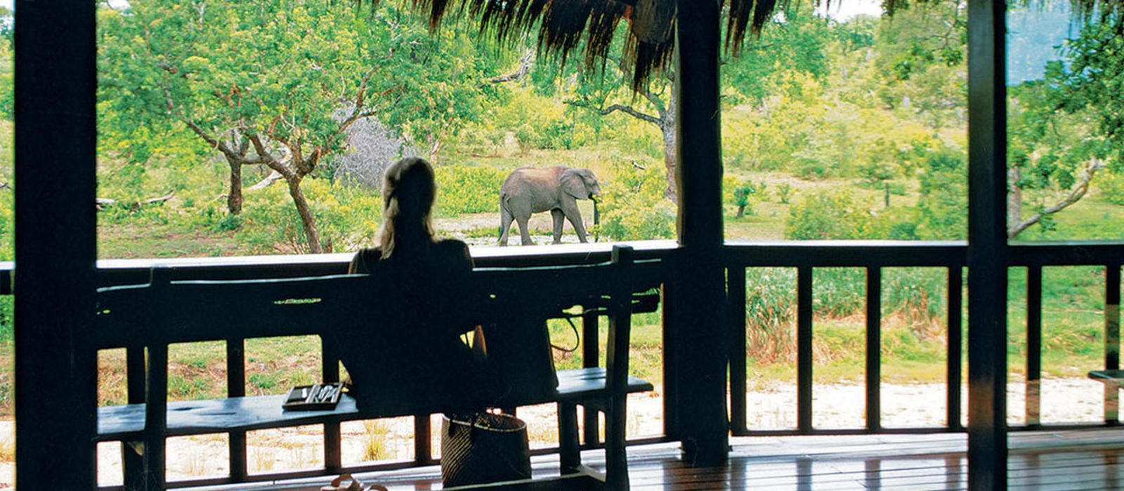 Ulusaba Safari Lodge Hotel In South Africa Enchanting Travels - 