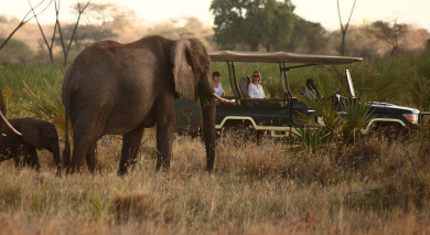 Empfohlene Individualreise, Rundreise: Hoch über Kenia: Safari & Strand Empfohlene Individualreise, Rundreise: Hoch über Kenia: Safari & Strand