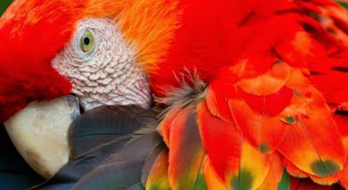 Example private tour: Peru: Andes and Amazon Example private tour: Peru: Andes and Amazon