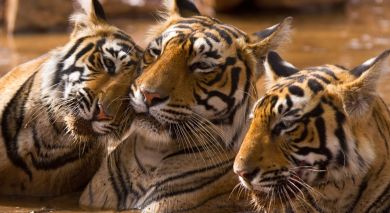 Example private tour: Southern Wildlife and Spices Example private tour: Southern Wildlife and Spices