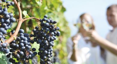 Example private tour: Chile: Lakes and Wine Example private tour: Chile: Lakes and Wine