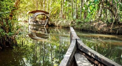 Example private tour: Ayurveda: Nature’s Remedy Example private tour: Ayurveda: Nature’s Remedy