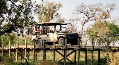 Empfohlene Individualreise, Rundreise: Brüllende Löwen und rauschende Wasserfälle: Südafrika, Simbabwe & Botswana Empfohlene Individualreise, Rundreise: Brüllende Löwen und rauschende Wasserfälle: Südafrika, Simbabwe & Botswana