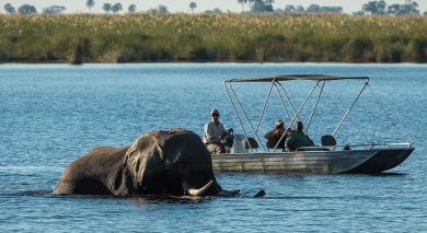 Empfohlene Individualreise, Rundreise: Safari Höhepunkte: Tansania, Simbabwe und Botswana Empfohlene Individualreise, Rundreise: Safari Höhepunkte: Tansania, Simbabwe und Botswana