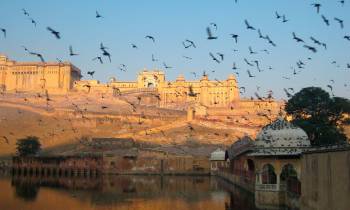 Jaipur