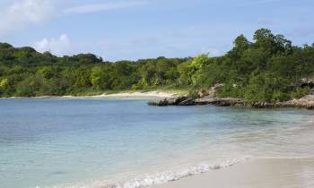 a beach next to a body of water