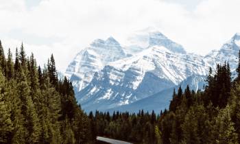 Alberta Road