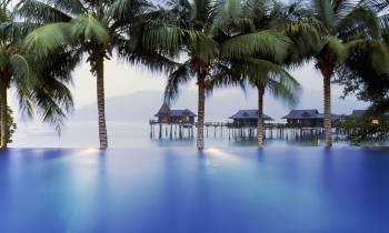 a group of palm trees next to a body of water