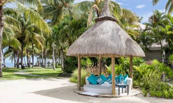 a pool next to a palm tree