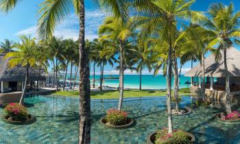 a pool next to a palm tree