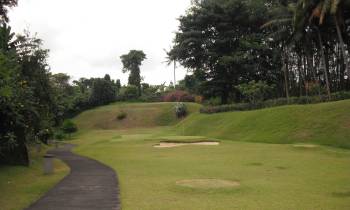 a path with trees on the side of a lush green field