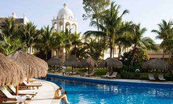 a group of palm trees next to a pool of water