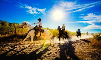 Horseback Riding