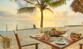 a palm tree on a table next to a body of water
