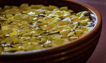 a close up of a bowl of food on a plate