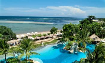 a group of palm trees next to a body of water